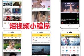 主圖短視頻教程_不刷單不開直通車
