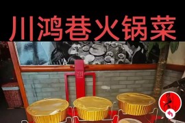 怎樣下載抖音賺錢的視頻_在抖音極速版發(fā)視頻怎么賺錢