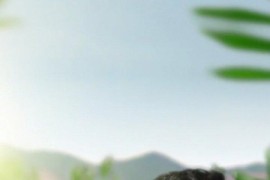 背帶褲改短視頻教程_背帶褲如何搭配
