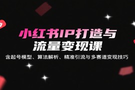 小紅書IP打造與流量變現(xiàn)課：含起號(hào)模型、算法解析、精準(zhǔn)引流與多賽道變現(xiàn)技巧
