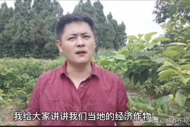 抖音賺錢(qián)下載優(yōu)賞寶是真的嗎_抖音主播pk刷的音浪都是真的嗎