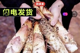 拼多多買短視頻教程_拼多多dy是什么