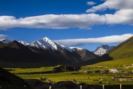 喝酒唱歌短視頻教程_還記得第一次唱歌的情景嗎