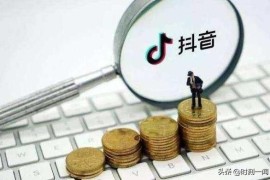 怎么可以用抖音賺錢_抖音大v怎么賺錢