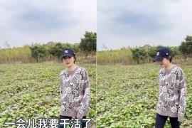 挖紅薯短視頻教程_儲(chǔ)存紅薯的地窖怎樣設(shè)計(jì)施工