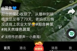 抖音副業(yè)賺錢教程圖片大全下載安裝怎么自動(dòng)刷抖音賺錢