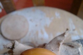 麻將類短視頻教程_你看懂了哪些不為人知的秘密