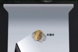 如何拍室內(nèi)短視頻教程_人影攝影