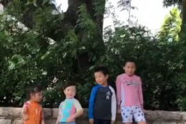 行李箱制作短視頻教程_有一群很惡心的親戚是一種什么樣的體驗(yàn)