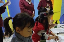 幼兒園洗手短視頻教程_幼兒園半日活動設(shè)計流程和內(nèi)容