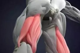 健美女短視頻教程完整版（怎樣鍛煉腘繩肌）