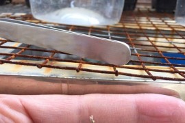多肉種植短視頻教程_多肉好養(yǎng)嗎