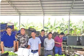 安裝香蕉短視頻教程_為什么香蕉箱適合裝書