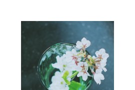 探店短視頻教程_如何通過短視頻變現(xiàn)呢