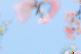 櫻花風(fēng)景短視頻教程_怎么拍樹葉子能讓照片顯得非常好看