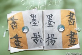 抖音教育課程總結(jié)_對抖音網(wǎng)紅小小莎購買1500萬房子