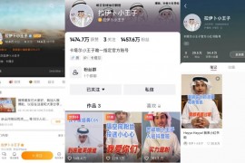 tiktok用什么加速器_tiktok怎么在國內(nèi)使用安卓