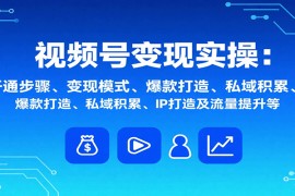 視頻號變現(xiàn)實操，含開通步驟、變現(xiàn)模式、爆款打造、私域積累、IP打造及流量提升等