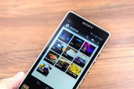 tiktok的版權(quán)是中國的嗎_電子郵件登錄密碼錯(cuò)誤