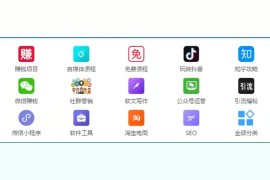 抖音賺錢機(jī)會(huì)有哪些類型_抖音作品少的能不能掙錢