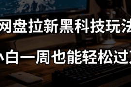 網(wǎng)盤拉新黑科技玩法，小白一周也能輕松過萬【全套視頻教程+黑科技】【揭秘】