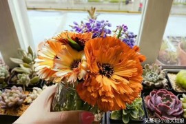 上班族想做抖音副業(yè)做哪個(gè)領(lǐng)域最好呢知乎上班族做什么副業(yè)可以提高收入