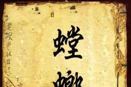 螳螂拳短視頻教程_螳螂拳的基本功有哪些