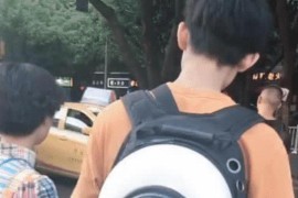 抖音短視頻教程貓咪_抖音上的貓友是什么意思