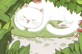 抄小說(shuō)發(fā)抖音賺錢是怎么回事兒_番茄小說(shuō)會(huì)被推薦到抖音上嗎