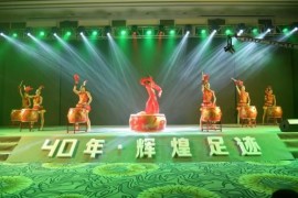 無(wú)人機(jī)創(chuàng)作短視頻教程_2020年您出外創(chuàng)作有沒有無(wú)人機(jī)航拍的計(jì)劃