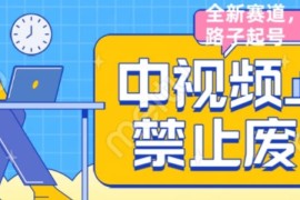 禁止廢話系列視頻制作教程，全新藍(lán)海玩法