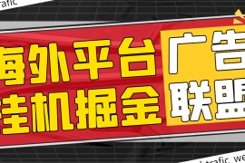 『高端精品』最新海外廣告聯(lián)盟webtrafic平臺掛機項目，單窗口日賺100+盧布，提現(xiàn)秒到工作室可批量『永久腳本+使用教程』
