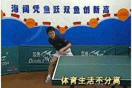 直板正手?jǐn)[短視頻教程_乒乓球直板從零開始教學(xué)步驟