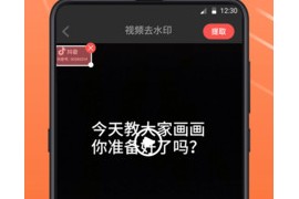 水印相機能拍視頻嗎_為什么水印相機不能美顏