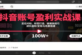 抖音賬號盈利實戰(zhàn)課，定位對標(biāo)、標(biāo)簽打造、破播放技巧，講漲粉變現(xiàn)與場景搭建