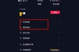抖音賺錢有哪些方法呢_抖音好玩嗎