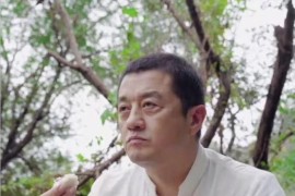 怎樣弄文案短視頻教程_如何創(chuàng)作爆款短視頻呢