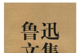 愛好者短視頻教程下載_而什么又是快餐玩家