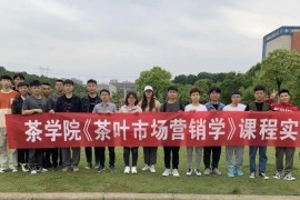 茶葉怎么做短視頻教程_鮮榨果汁怎么做更好喝