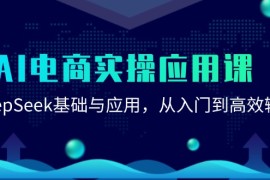 AI電商實(shí)操應(yīng)用課：DeepSeek基礎(chǔ)與應(yīng)用，從入門(mén)到高效輸出