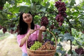 抖音副業(yè)月入5千適合做什么手機(jī)副業(yè)求推薦一個(gè)靠譜的副業(yè)