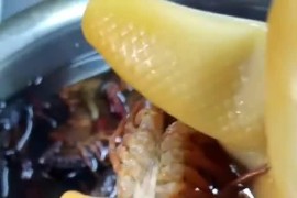 小龍蝦制作短視頻教程_譚十三小龍蝦怎么做