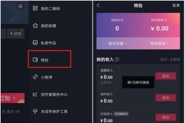 怎么樣在抖音賺錢提現(xiàn)_抖音小店隨心推如何提現(xiàn)