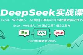 DeepSeek實戰(zhàn)課：Excel、WPS接入、AI 組合工具與小紅書批量做筆記技巧