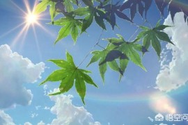抖音副業(yè)一個人能做嗎抖音極速版怎么做個人地推