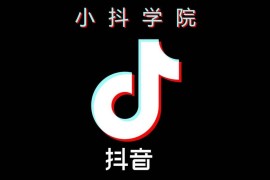 八大抖音賺錢模式詳解視頻_抖音16比9比例有收益嗎