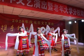 新年舞蹈短視頻教程_如何評價2022春晚的舞蹈只此青綠