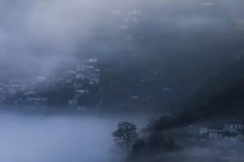 攝影入門短視頻教程_如果我每天更新一期攝影教程會(huì)有人看么