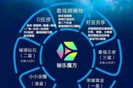 秘樂短視頻教程安裝_華為商城里為什么搜不到秘樂