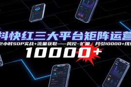 抖快紅三大平臺矩陣運(yùn)營，12小時SOP實(shí)戰(zhàn)+流量獲取-風(fēng)控-擴(kuò)量，月引10000+線索